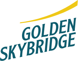 A group of people ziplining above the trees at Golden Skybridge.